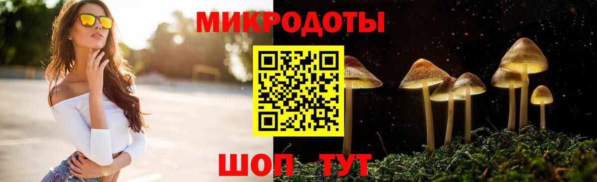 Минусинск  Псилоцибиновые грибы мухоморы  Вход с VPN 
